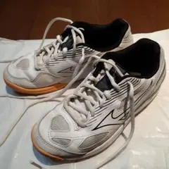 Item thumbnail for item d092a52e-bd0e-47b8-a595-ca509d2402a1