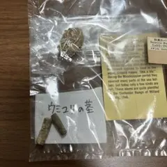 Item thumbnail for item bcea910c-0021-4a28-b20a-899cdf4e1c9e