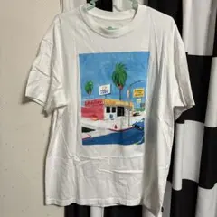 NIKE SBグラフィックプリント Tシャツ XL