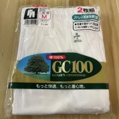 Item thumbnail for item a7a86d9a-165f-4239-aa78-4be1d7c2f547