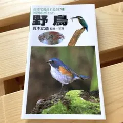 ミニ図鑑・【野鳥・日本で見られる287種 判別のポイント】
