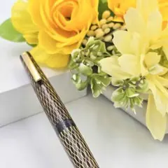 2026年最新】シェーファー 万年筆 14kの人気アイテム - メルカリ