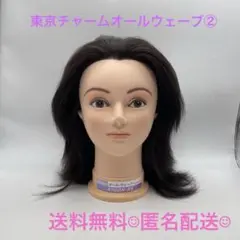 オールウェーブ ウィッグ セット売り 2025年最新】オールウェーブウィッグの人気アイテム - メルカリ