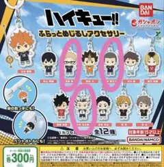 ハイキュー!! ふらっとめじるしアクセサリー3個セット