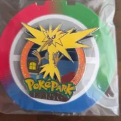超激レア ラメ加工 ポケパーク カントー ファイヤー ピンバッジ モンボ