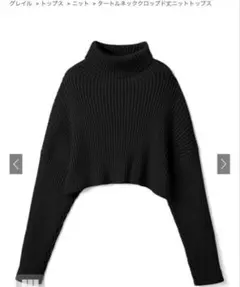 グレイル　GRL タートルネッククロップド丈ニットトップス【mb1395】