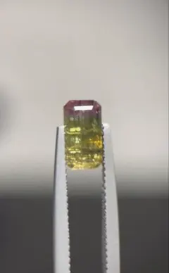 バイカラートルマリン　1.76ct