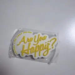 嵐 会場限定 ガチャ 歴代ツアー ロゴマグネット Are You Happy?のサムネイル