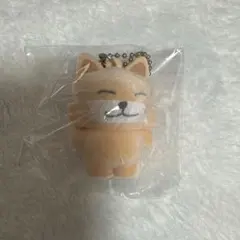 メテュ フロッキー