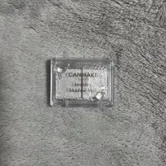 CANMAKE ジュエリーシャドウベール 01