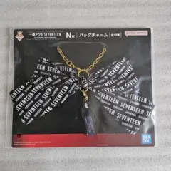 SEVENTEEN バッグチャーム DK 一番アクセ