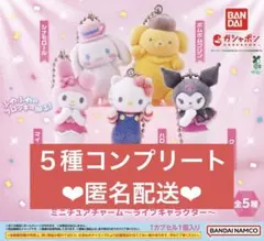 サンリオキャラクターズ ミニチュアチャーム　ライブキャラクター　ガチャ　コンプ