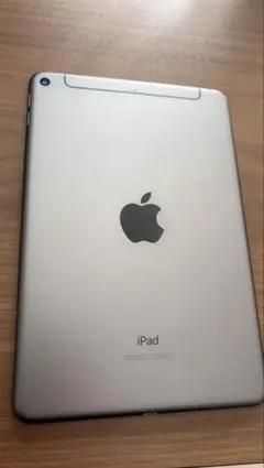 iPad mini5 A2124