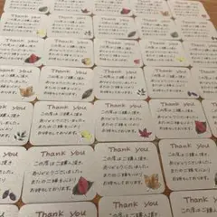 NEW SEA様 リクエスト 2点 まとめ商品