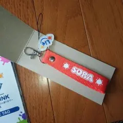 難波碧空 バラ売り⭕️ リルパンダ フォトカ 難波碧空 バラ売り⭕️ リルパンダ フォトカ - メルカリ