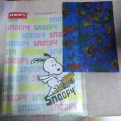 Item thumbnail for item 2b24e7f7-d0fb-4824-b38c-b3c1928e2adb