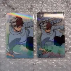 僕のヒーローアカデミア　轟焦凍　ユアネクスト　ホロカードコレクション