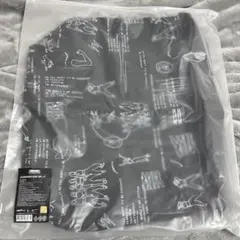 Item thumbnail for item 3dcb78ca-b944-4f15-9b3d-7d4b5a36bb36