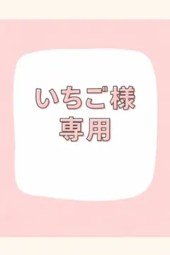 ★いちご様専用★