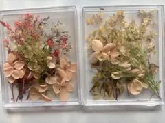 ③ドライフラワー かすみ草 アジサイ 素材 2点セット