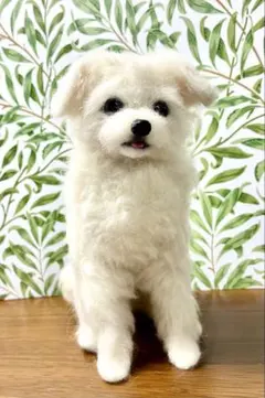 羊毛フェルト ハンドメイド 犬 ヨークシャテリア 遊ぼ！(中) - メルカリ