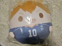 ハイキュー ぬいくじ A賞 日向翔陽