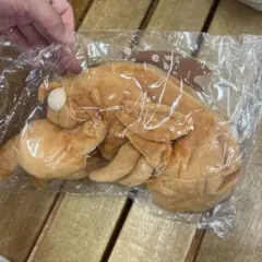 話題商品】サンスター⭐︎セミの抜け殻ペンケース⭐︎ブラウン - メルカリ