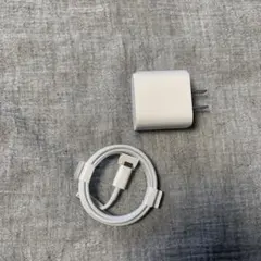 Apple 純正品　iPad iPhone USB-C充電器 ケーブルセット