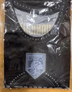 福井ブローウィンズ バスケシャツ