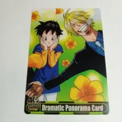 ドラゴンボール×ワンピース ジャンプ40周年 ウエハースカード 亀仙人