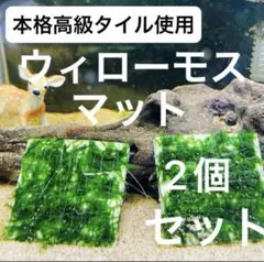 kame様 リクエスト 2点 まとめ商品