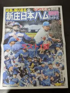 新庄日本ハムファイターズ特別版