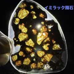 2026年最新】パラサイト隕石イミラックの人気アイテム - メルカリ