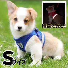 【S】ブルー　青　ハーネス　リード　犬用　猫用　散歩　ペット　脱げない　軽い