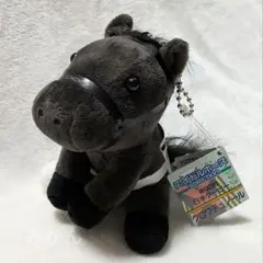 クロワデュノール アイドルホース ぬいぐるみ 日本ダービー Sサイズ