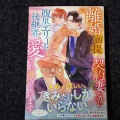 離婚前提の契約妻なのに、腹黒エリート後継者から愛され過ぎています