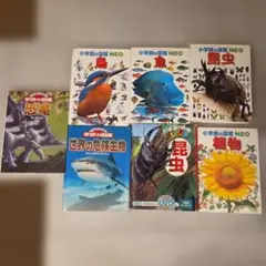 小学校の図鑑 NEO 鳥・魚・植物・昆虫セット