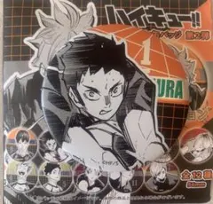 ☆ ハイキュー!!　デコレクション缶バッジ 第２弾　澤村大地