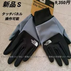 ノースフェイス 防寒グローブ ウィンドストッパー イーチップ LG色 新品S