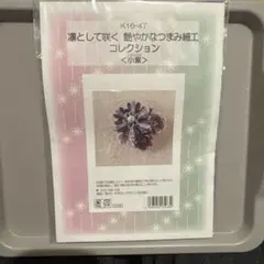 Item thumbnail for item 63cfd8a2-d634-4f50-a318-be892ac91440