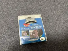 Item thumbnail for item d7e17746-aba2-477f-8408-31ec9dfbebb3