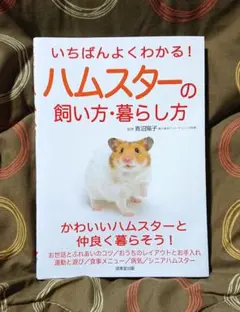 Item thumbnail for item 9381c7da-a3e2-416b-9bb4-4f60de069535