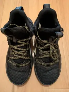 Item thumbnail for item 5a40fc3c-d8de-4717-9559-b3a4fbc5f838