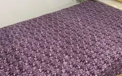 値下げ 新品　シングルサイズ　リバーシブル毛布　B1　※1点限り