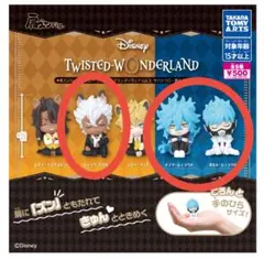 肩ズン イデア カプセルトイ