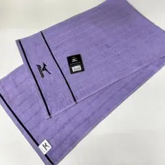 Item thumbnail for item 0329a414-181f-417f-beaa-49a3e9da7441