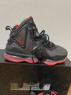 Item thumbnail for item a6bd43e7-48e5-4012-bc3f-5ef7843655f9