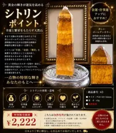 2026年最新】シトリン＃ガーネットの人気アイテム - メルカリ