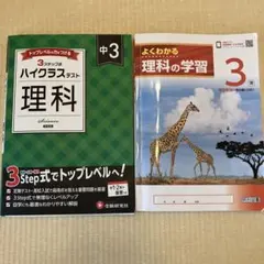 Item thumbnail for item 29db18a8-706b-470a-aa7f-f902448be493