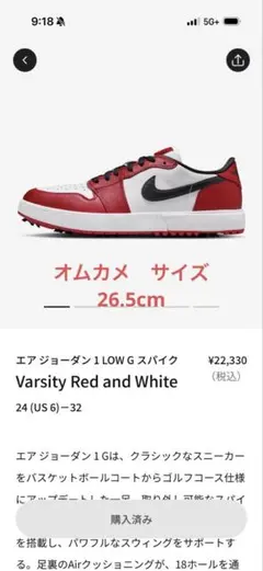 Nike Air Jordan 1 Low Golf 